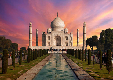 samedayjaipur